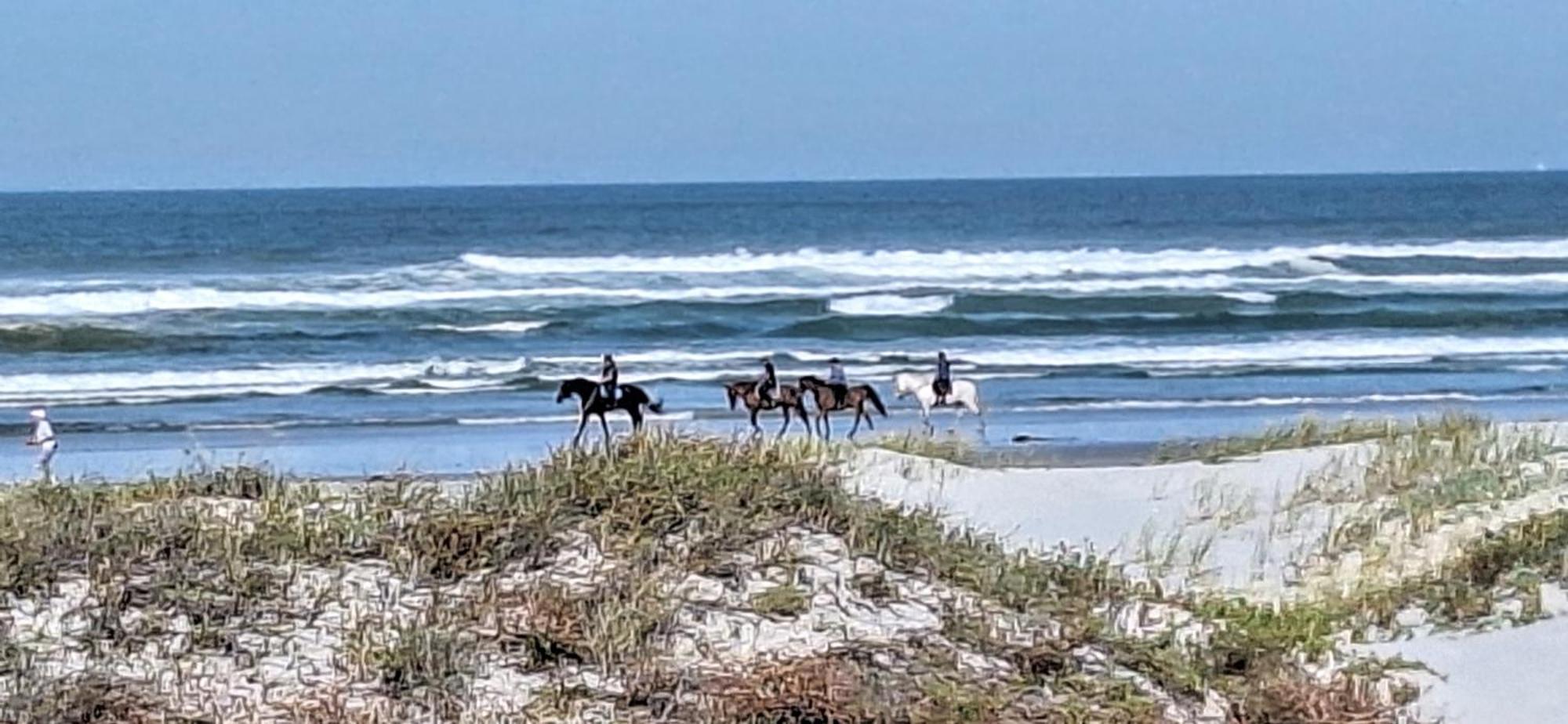 14 Penguin Place, Melkbosstrand Zewnętrze zdjęcie